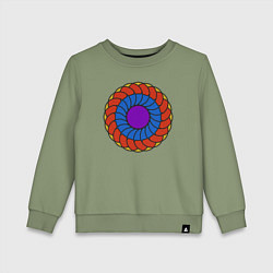 Детский свитшот Колесо геометрии