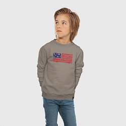 Свитшот хлопковый детский USA patriot, цвет: утренний латте — фото 2