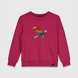 Детский свитшот Попугай ara macaw