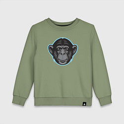 Детский свитшот Funny monkey