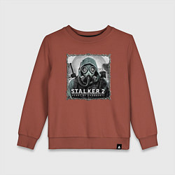 Свитшот хлопковый детский Stalker 2 heart of Chornobyl radiation 2, цвет: кирпичный