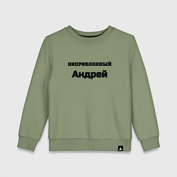 Детский свитшот Непреклонный Андрей