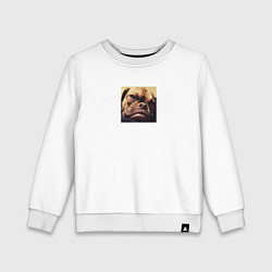 Свитшот хлопковый детский Сердитый Песик, цвет: белый