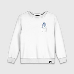 Детский свитшот Wolf Chan in pocket