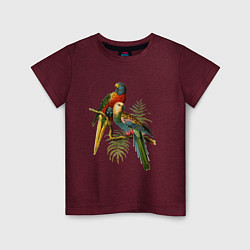 Футболка хлопковая детская Тропические попугаи, цвет: меланж-бордовый