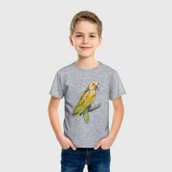 Футболка хлопковая детская Любимый попугай, цвет: меланж — фото 2