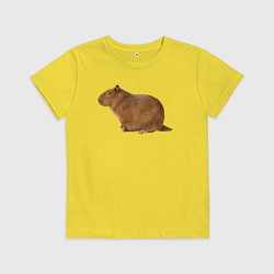 Футболка хлопковая детская Капибара сидит и спит, цвет: желтый