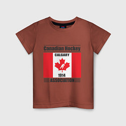 Футболка хлопковая детская Федерация хоккея Канады, цвет: кирпичный