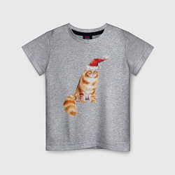 Футболка хлопковая детская Рыжий пушистый кот, цвет: меланж