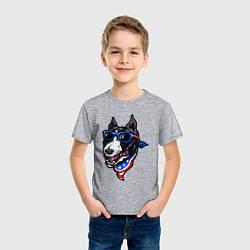 Футболка хлопковая детская Американский пёсик, цвет: меланж — фото 2