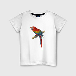 Футболка хлопковая детская Попугай ara macaw, цвет: белый
