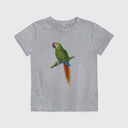 Футболка хлопковая детская Зеленый ара, цвет: меланж