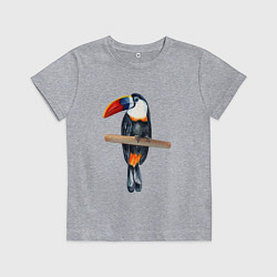 Футболка хлопковая детская Тукан на толстой ветке, цвет: меланж