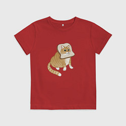 Футболка хлопковая детская Милый толстый котик-хлебушек, цвет: красный