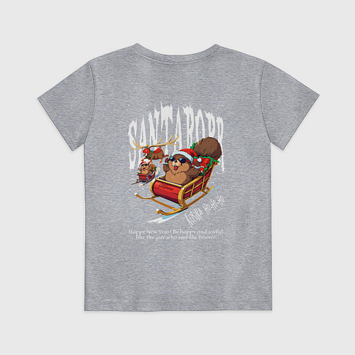 Детская футболка Санта бобр курва / Меланж – фото 2