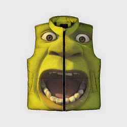 Детский жилет Shrek is Yelling, цвет: 3D-черный