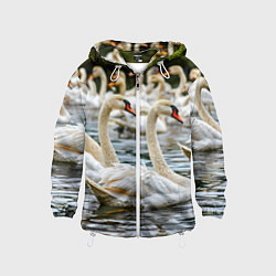 Ветровка с капюшоном детская Белые лебеди на пруду, цвет: 3D-белый