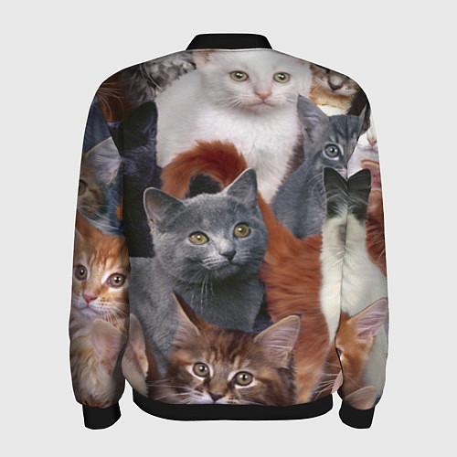 Мужской бомбер КОТЯТКИ / 3D-Черный – фото 2