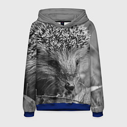Толстовка-худи мужская Взгляд ёжика, цвет: 3D-синий