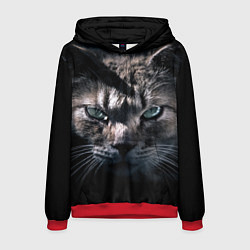 Толстовка-худи мужская Котик, цвет: 3D-красный