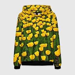 Толстовка-худи мужская Жёлтые тюльпаны, цвет: 3D-черный