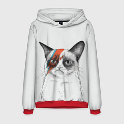 Толстовка-худи мужская David Bowie: Grumpy cat, цвет: 3D-красный