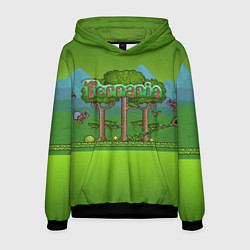Толстовка-худи мужская Terraria, цвет: 3D-черный