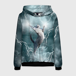 Толстовка-худи мужская Грозовой кошак, цвет: 3D-черный