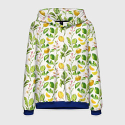 Толстовка-худи мужская Летний узор лимон ветки листья, цвет: 3D-синий