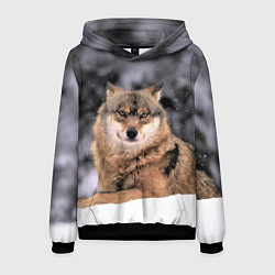 Толстовка-худи мужская Wolf Волк, цвет: 3D-черный