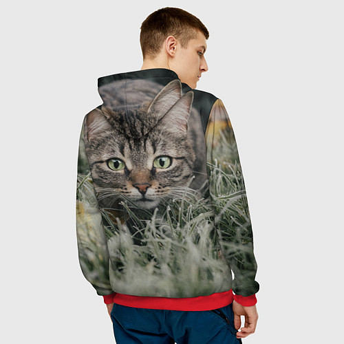 Мужская толстовка Кошка / 3D-Красный – фото 4