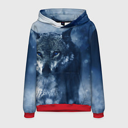 Толстовка-худи мужская Красивый волк, цвет: 3D-красный