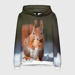 Толстовка-худи мужская Белка с орехом на снегу, цвет: 3D-белый