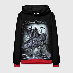 Толстовка-худи мужская Children of Bodom, цвет: 3D-красный