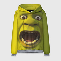 Толстовка-худи мужская Shrek is Yelling, цвет: 3D-меланж