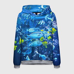 Толстовка-худи мужская Коралловые рыбки, цвет: 3D-меланж