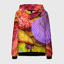 Толстовка-худи мужская Разноцветные ракушки multicolored seashells, цвет: 3D-черный