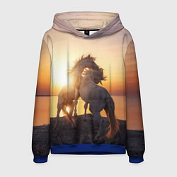 Толстовка-худи мужская Лошади на закате, цвет: 3D-синий