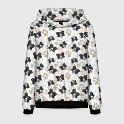 Толстовка-худи мужская Бордер Колли, цвет: 3D-черный