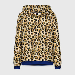Толстовка-худи мужская Пятна Дикого Леопарда, цвет: 3D-синий