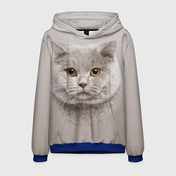 Толстовка-худи мужская Милая британка, цвет: 3D-синий