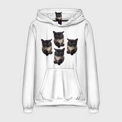 Толстовка-худи мужская Чмоня, цвет: 3D-белый