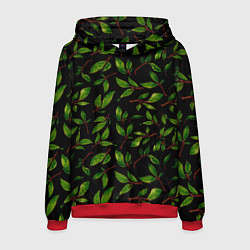 Толстовка-худи мужская Яркие зеленые листья на черном фоне, цвет: 3D-красный