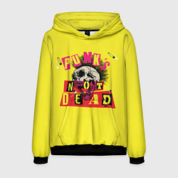 Толстовка-худи мужская Punks Not Dead - Панки Хой!, цвет: 3D-черный