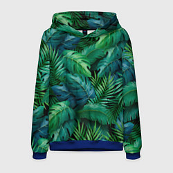 Толстовка-худи мужская Green plants pattern, цвет: 3D-синий