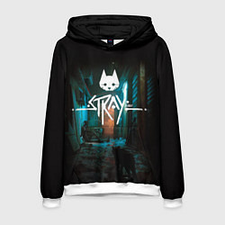 Толстовка-худи мужская Stray кот в ночи, цвет: 3D-белый