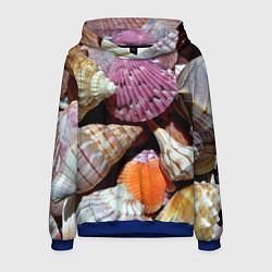 Толстовка-худи мужская Композиция из океанских ракушек, цвет: 3D-синий