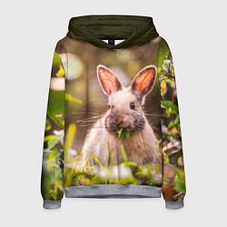 Толстовка-худи мужская Милый кролик, цвет: 3D-меланж