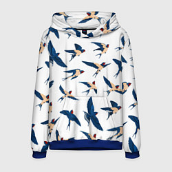 Толстовка-худи мужская Ласточки парят в небе, цвет: 3D-синий