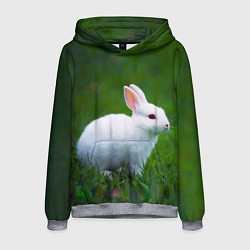Толстовка-худи мужская Кролик на фоне травы, цвет: 3D-меланж